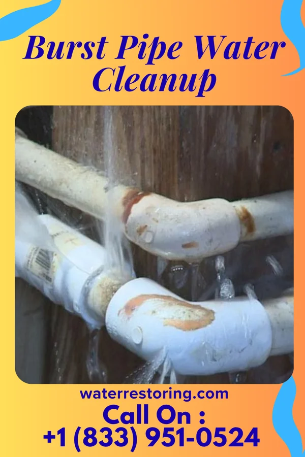 Burst Pipe Water Cleanup in Turner, MI