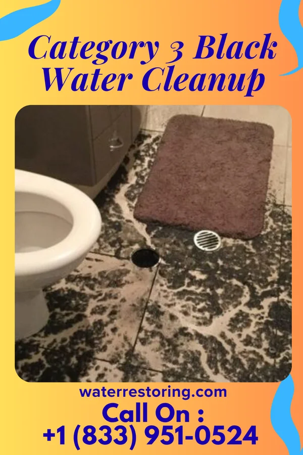 Category 3 Black Water Cleanup in Turner, MI