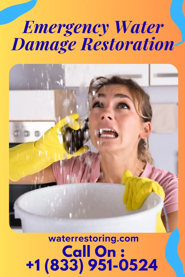 Emergency Water Damage Restoration in Turner, MI