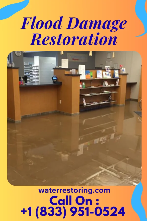 Flood Damage Restoration in Turner, MI