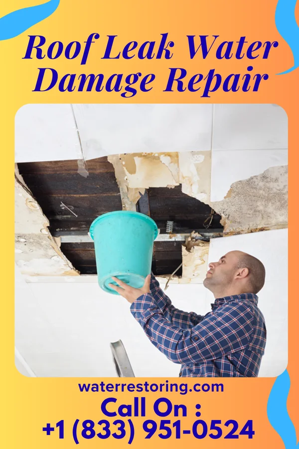 Roof Leak Water Damage Repair in Turner, MI