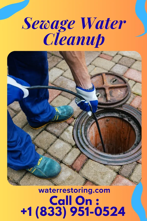Sewage Water Cleanup in Turner, MI