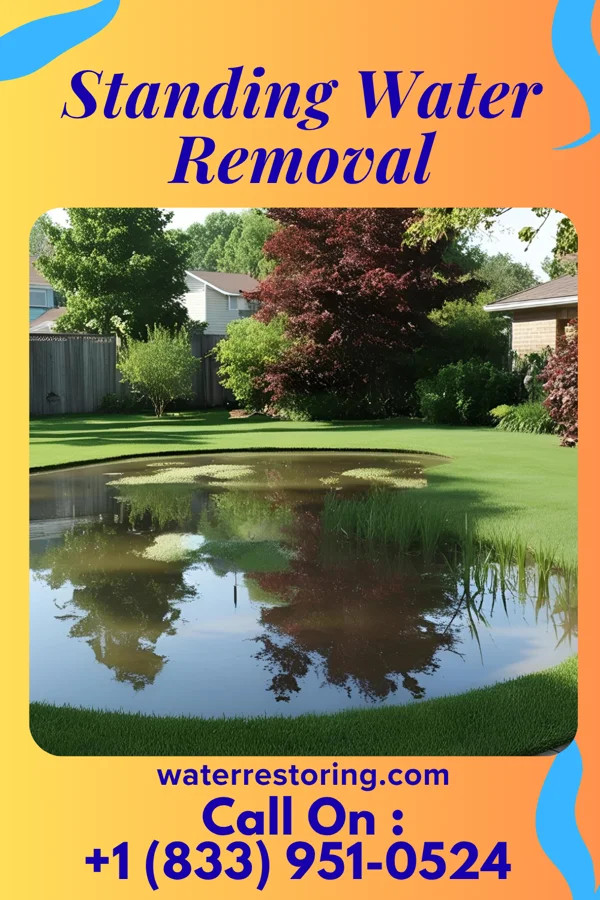 Standing Water Removal in Turner, MI